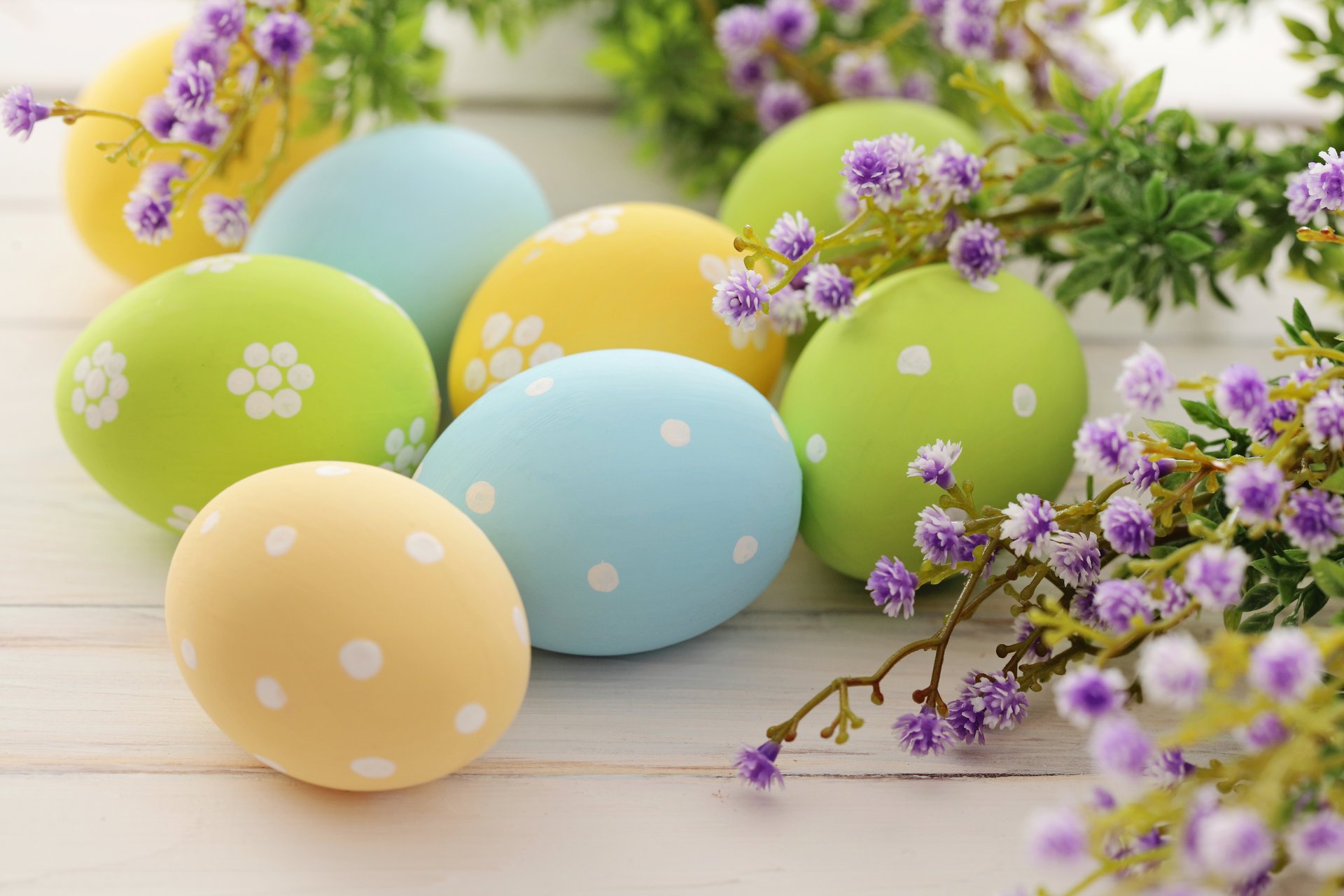 pasqua uova coloranti fiori