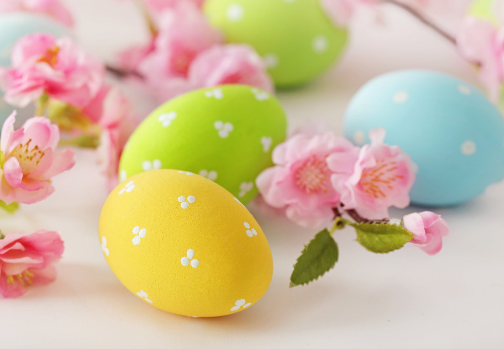 easter eggs flowers thin pastel