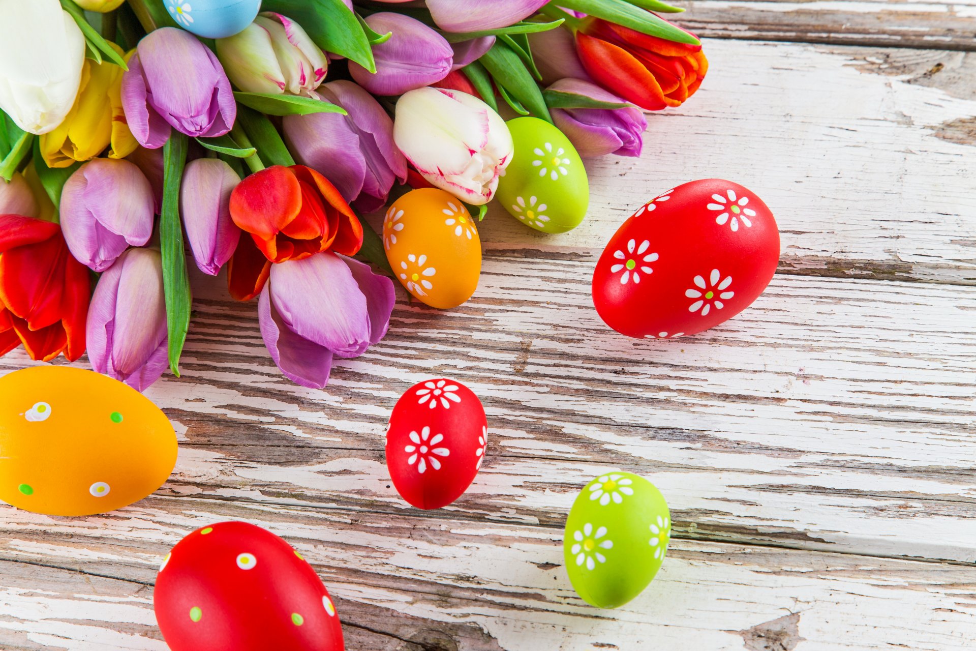 tulipani vacanze pasqua uova fiori foto