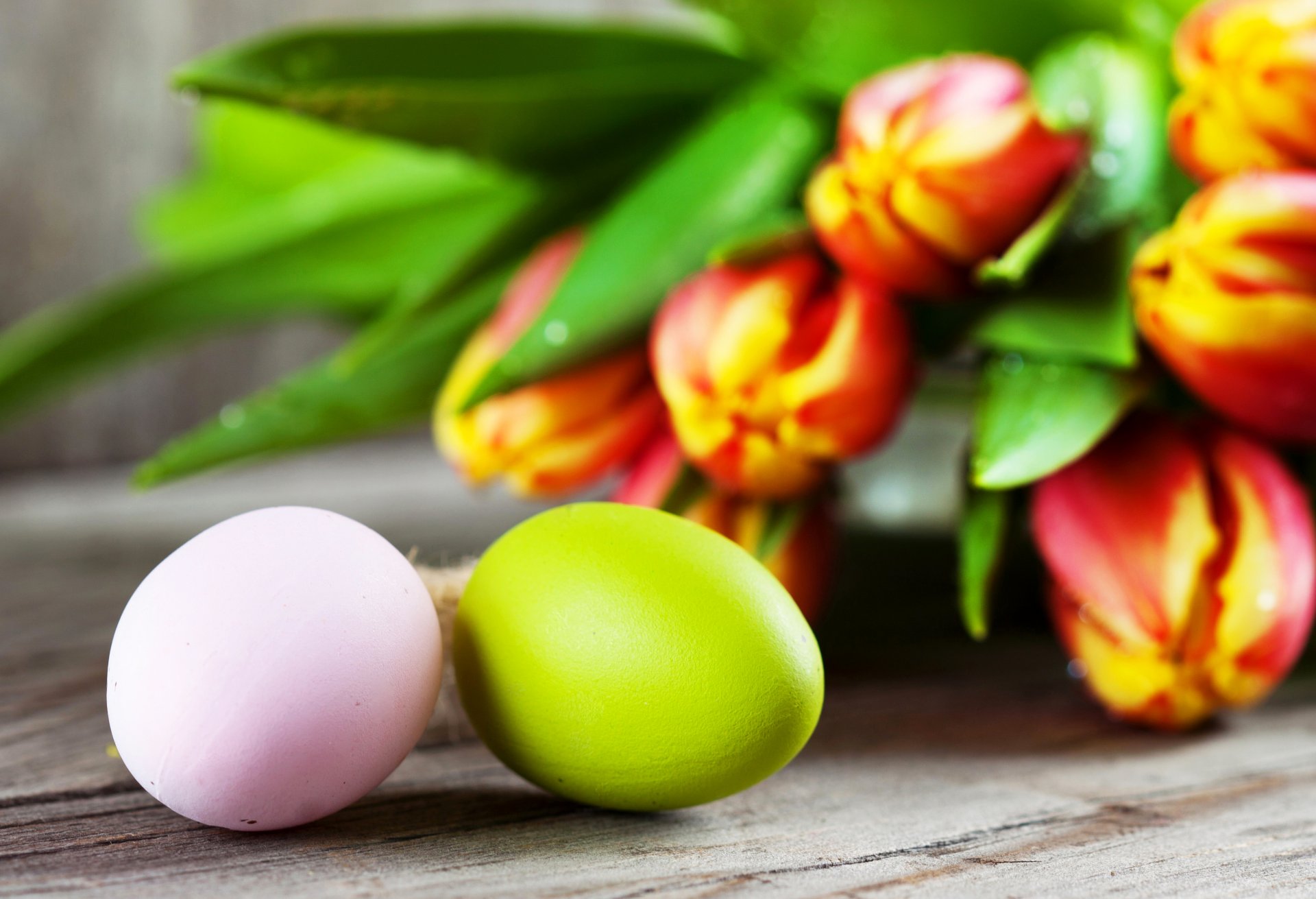 pâques fleurs tulipes oeufs