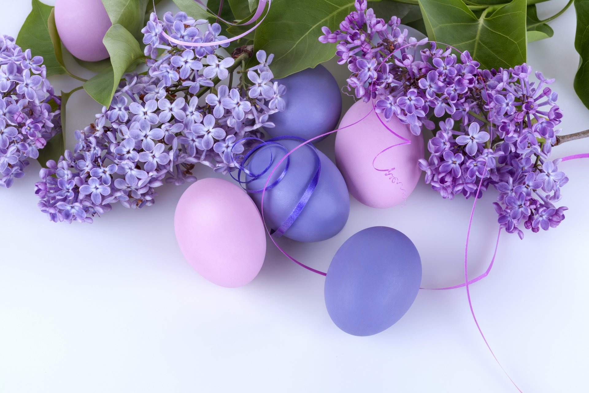 pascua huevos tintes lilas