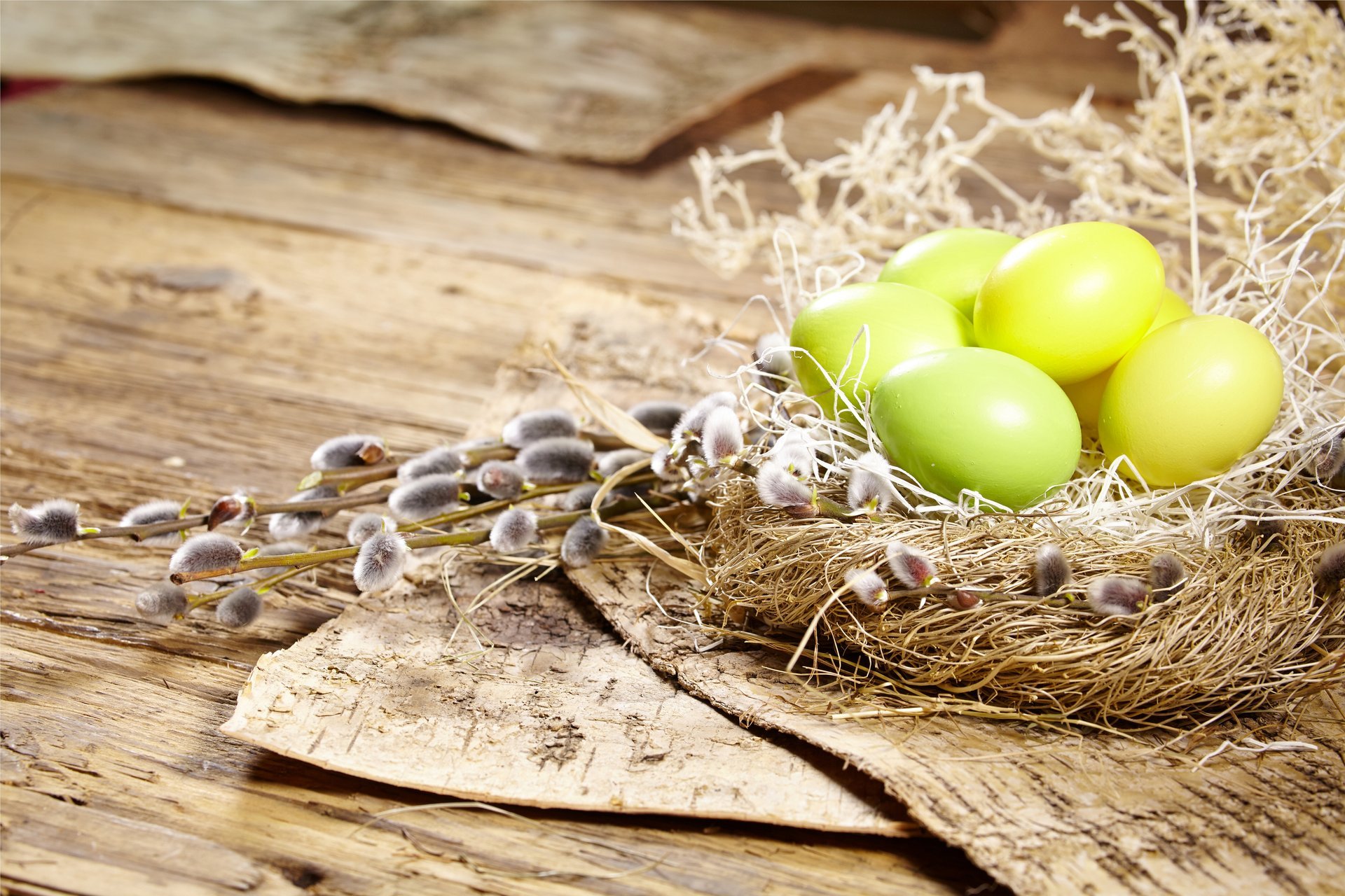 pasqua uova primavera fiori nido salice