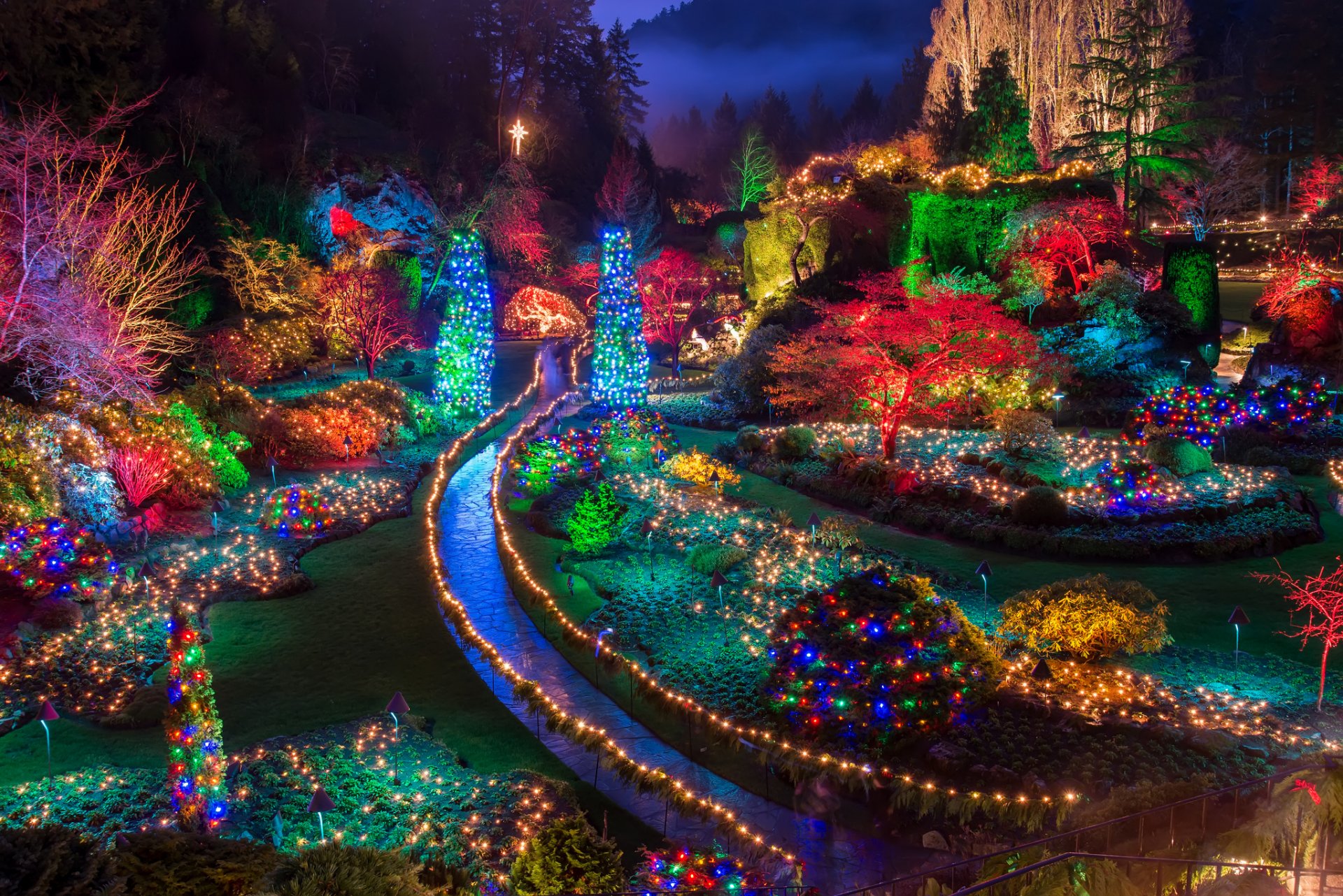 parco giardino alberi luci ghirlande