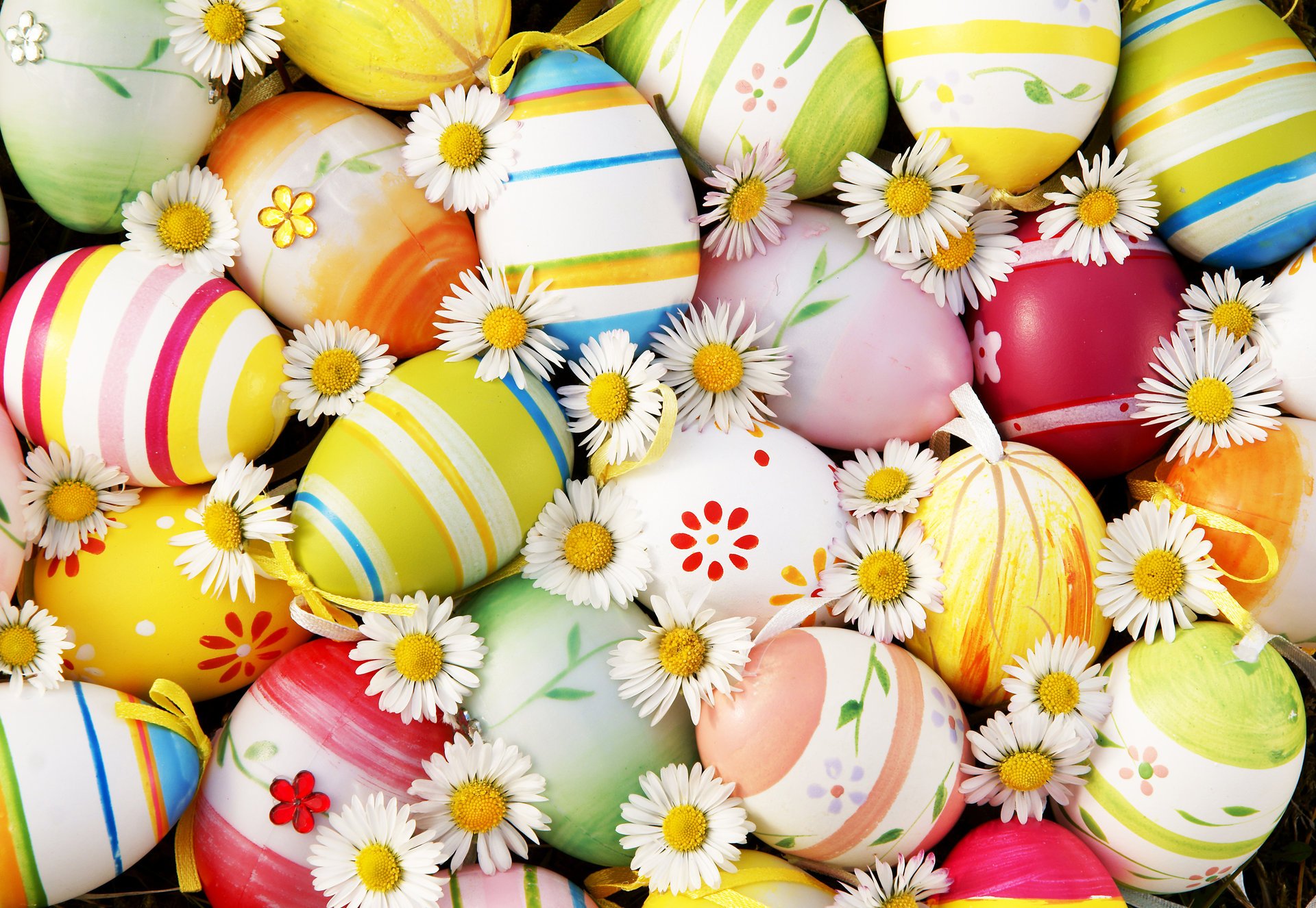 ostern eier blumen gänseblümchen