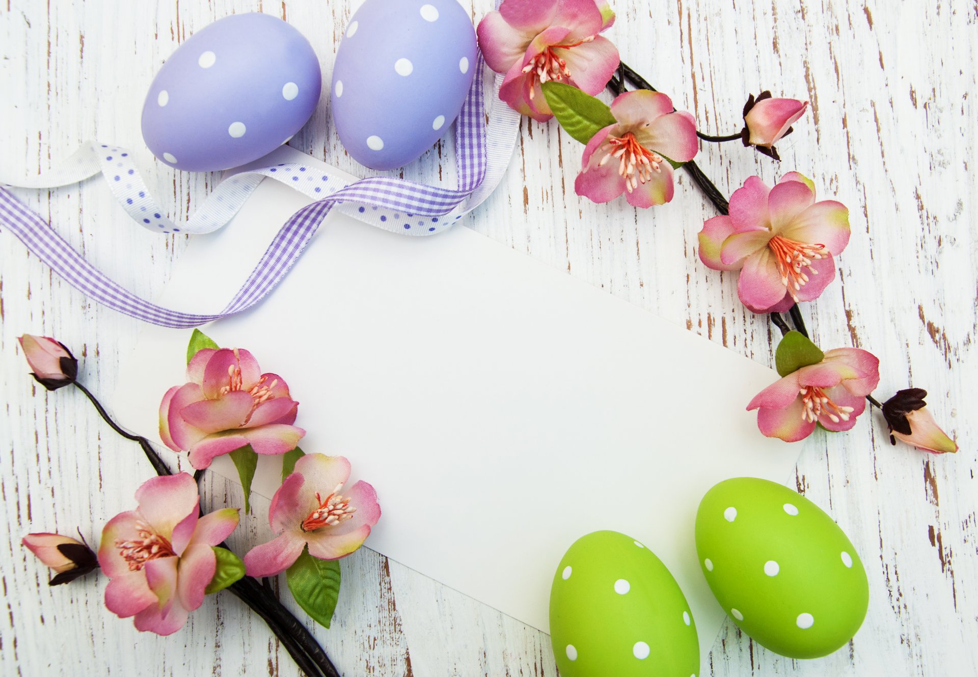 easter eggs cards flowers spring branche