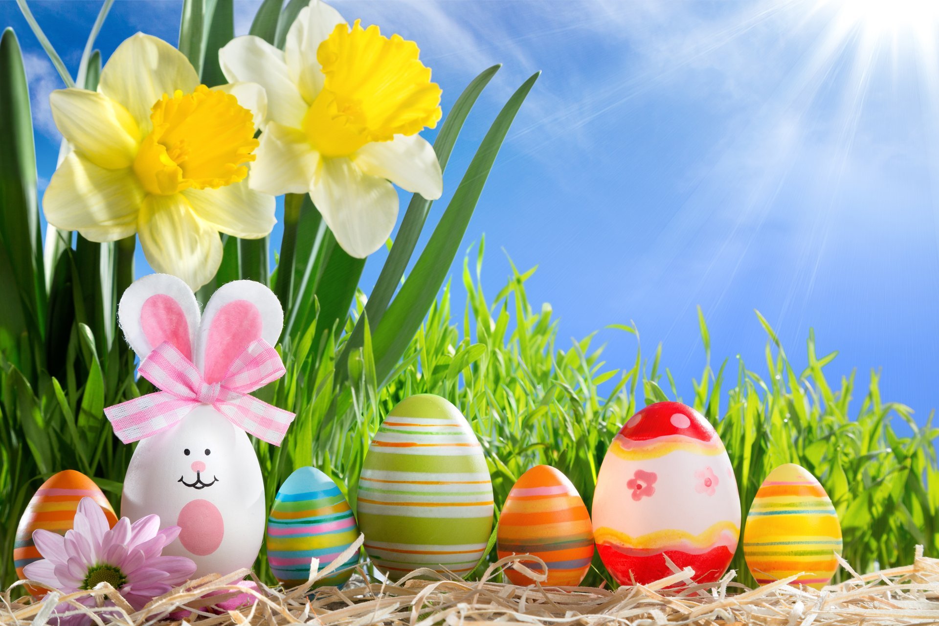 happy easter spring sun eggs flowers spring daffodils gra