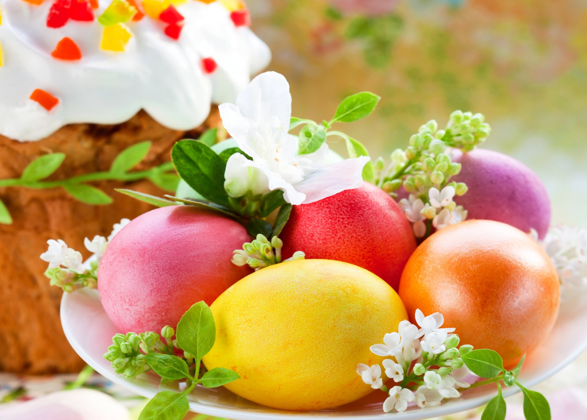 frühling ostern eier bunt kuchen