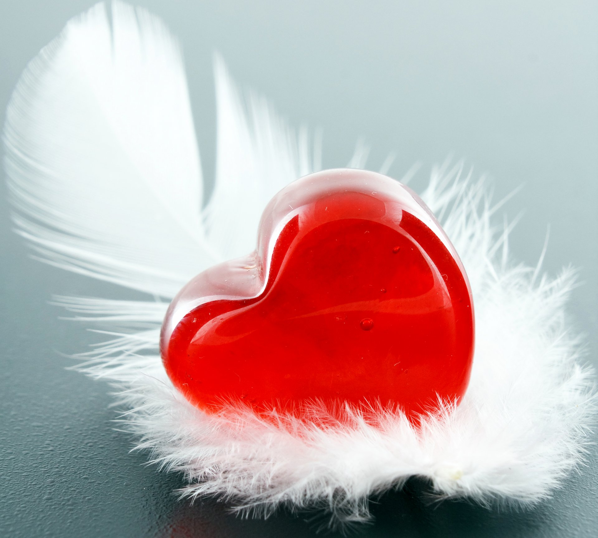 vacances plumes saint valentin coeur photo