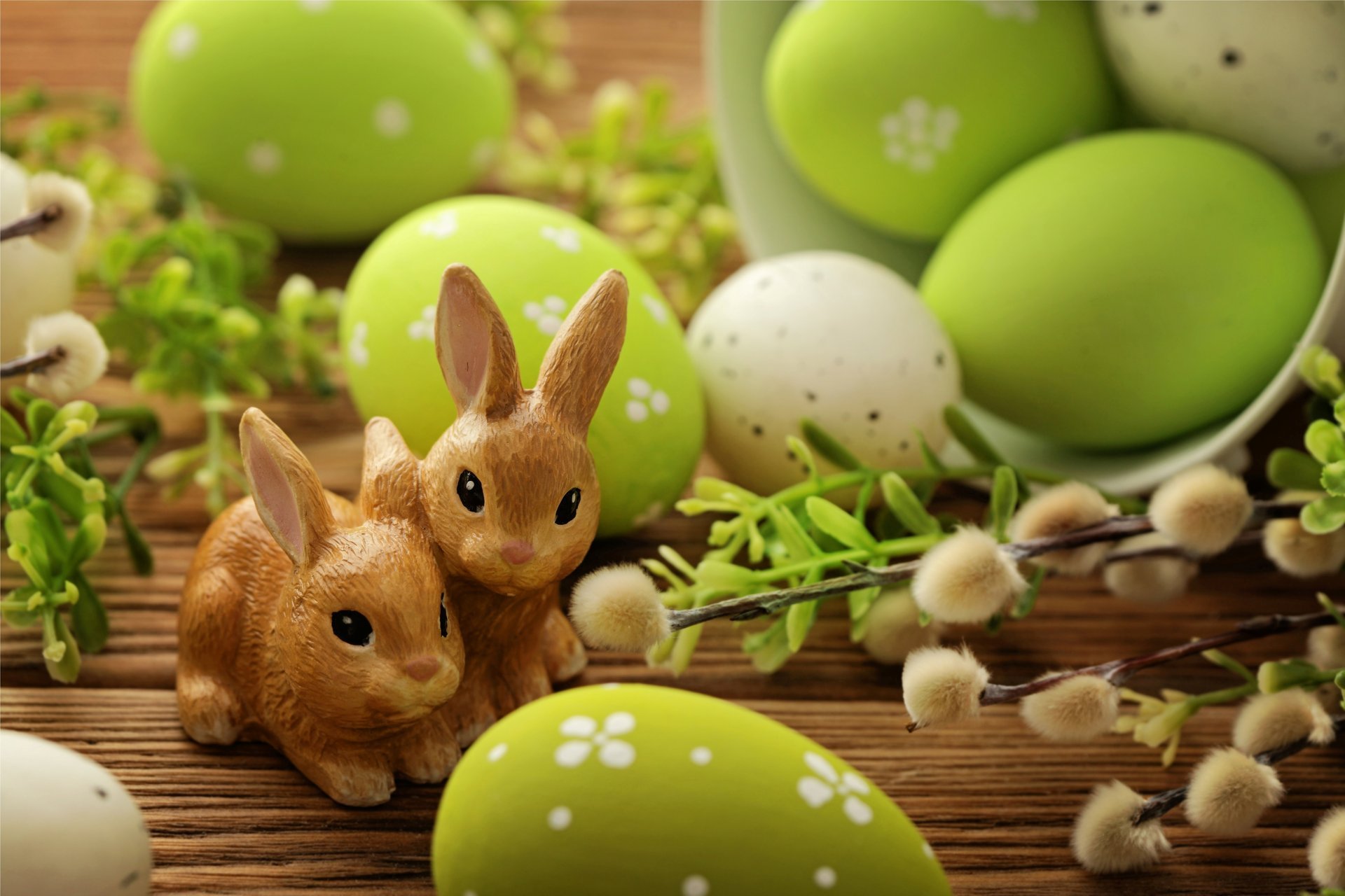 pasqua uova primavera fiori salice conigli