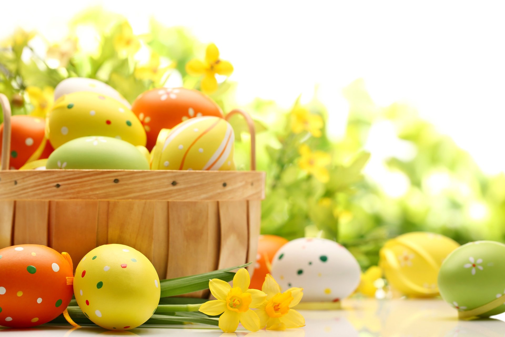 holiday easter daffodils eggs basket photo