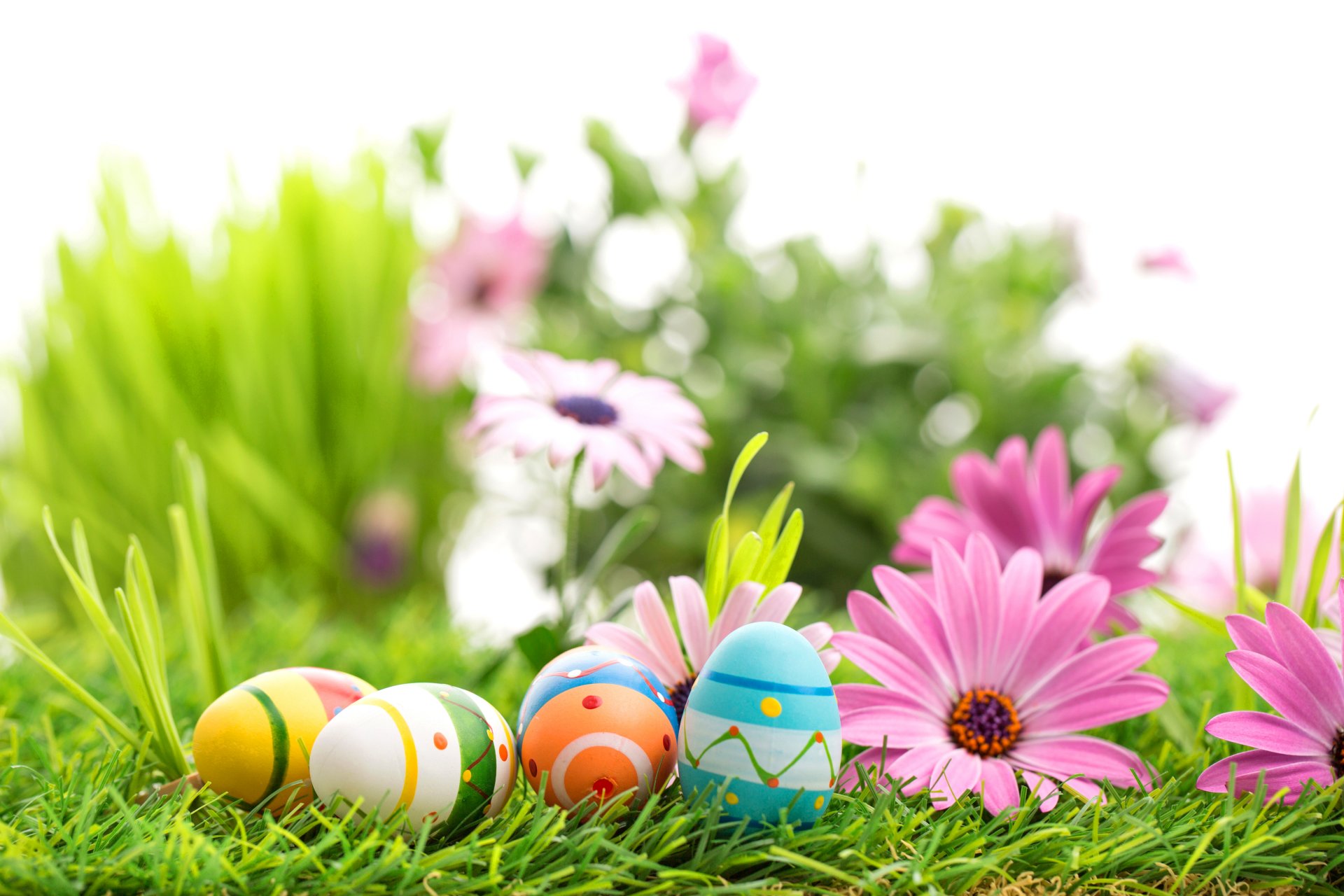 easter eggs flowers spring