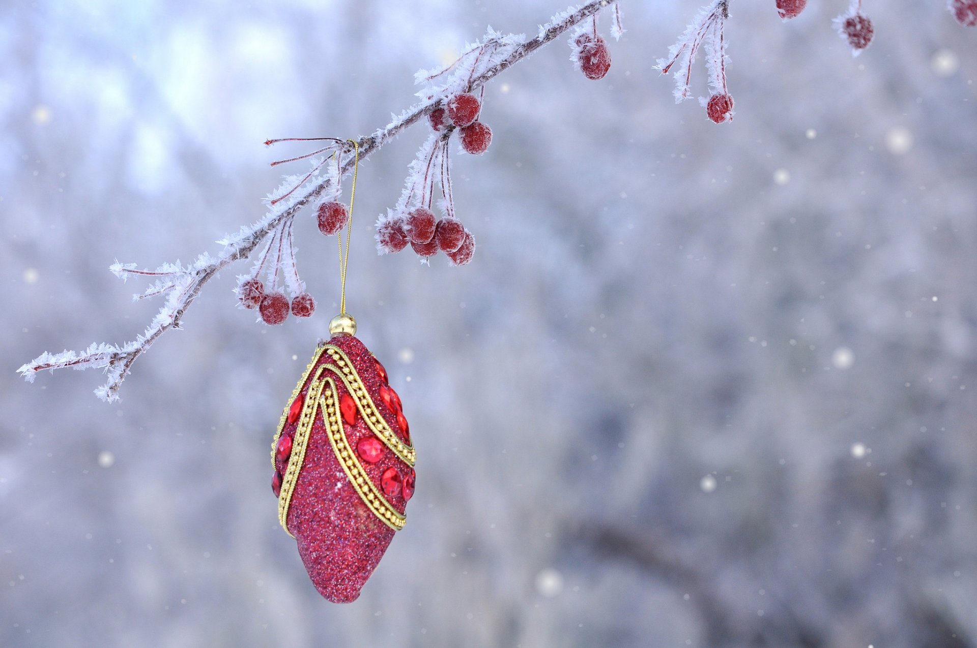 weihnachten neujahr zweig beeren früchte frost spielzeug dekoration