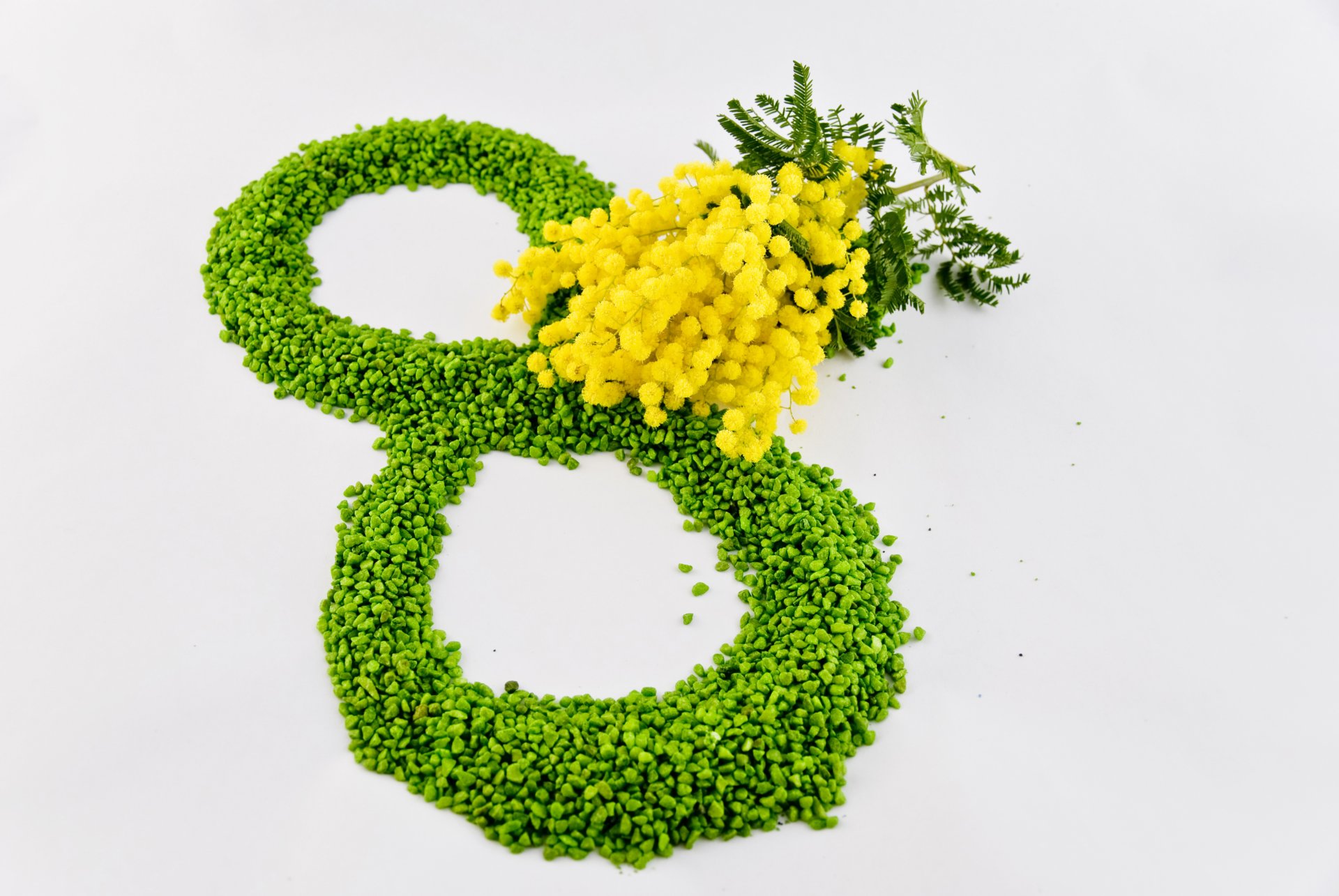 8 marzo festa della donna fiori mimose giallo verde