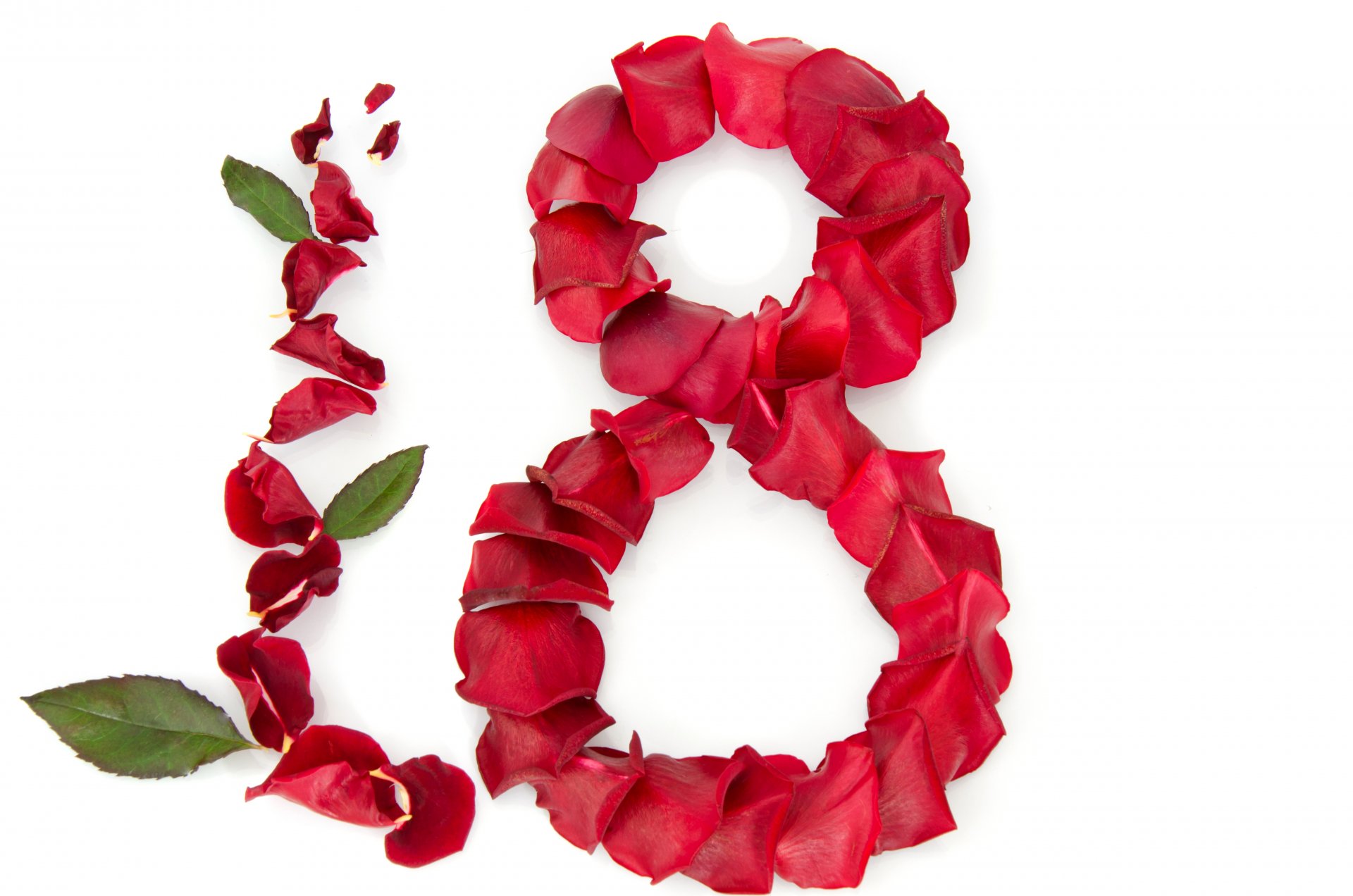 8 marzo festa della donna petali rose rosso volantini congratulazioni sfondo bianco