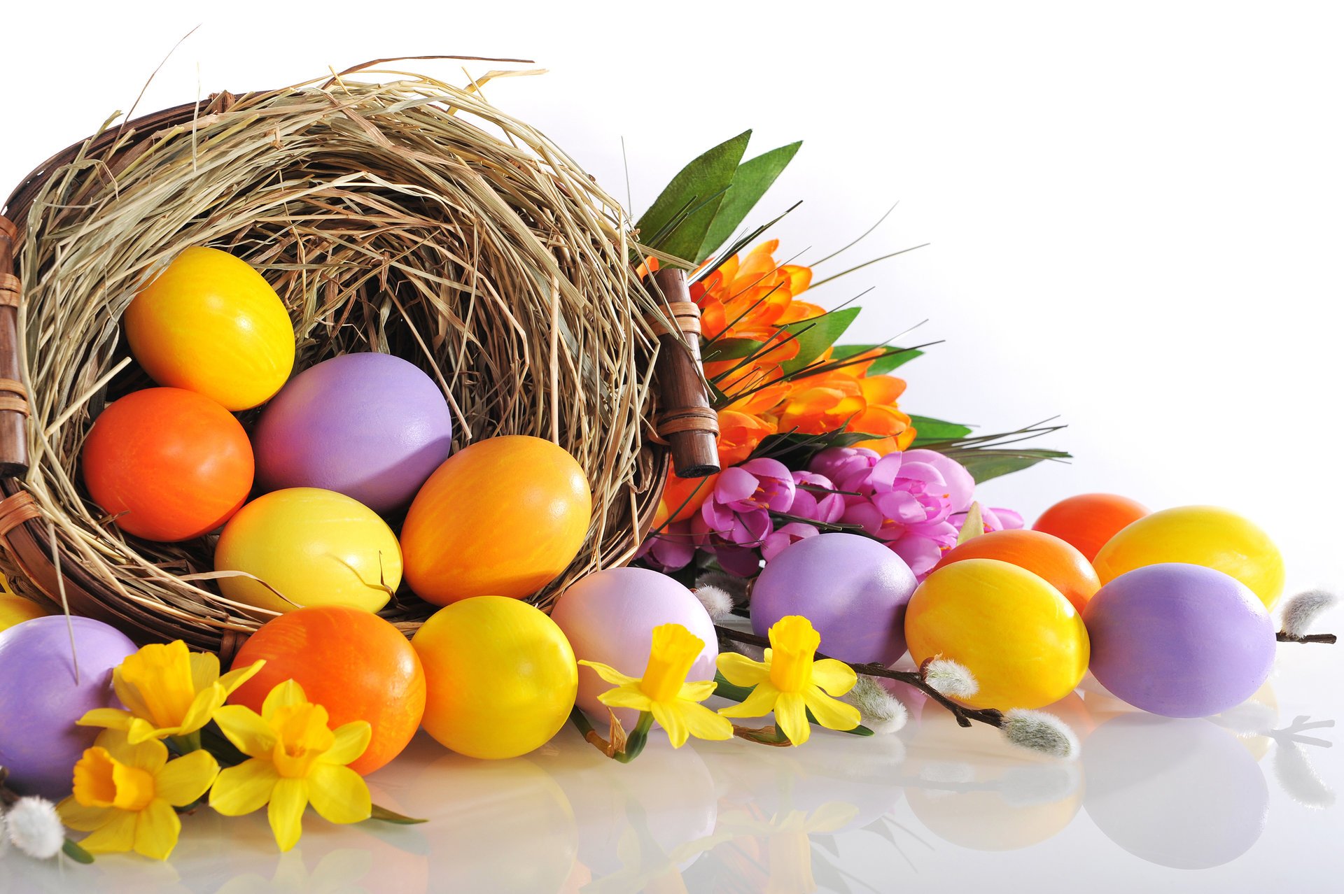 easter eggs flowers daffodil