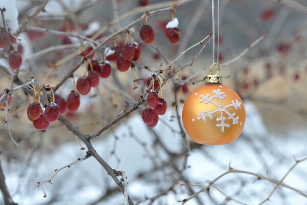 Orange ball with a snowflake on a bush