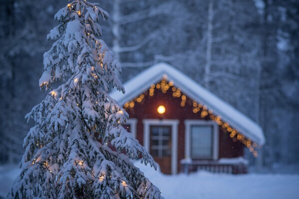 Humeur du nouvel an dans la forêt d hiver