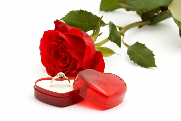 A rose and a ring with a stone in an open box