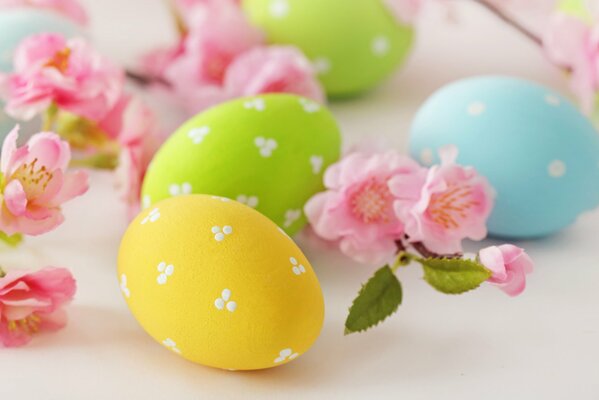 Huevos de Pascua pastel y flores de Manzano rosa