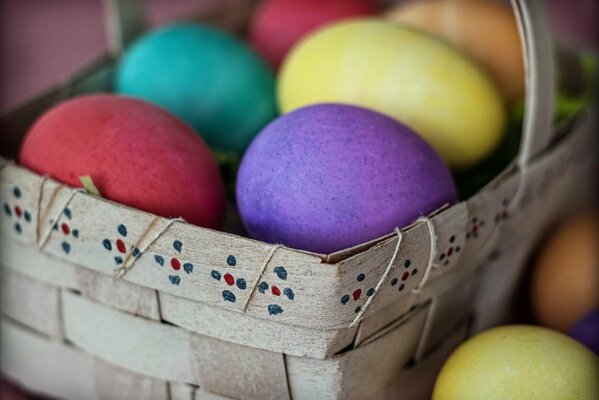 Uova colorate in un cesto di riproduzione