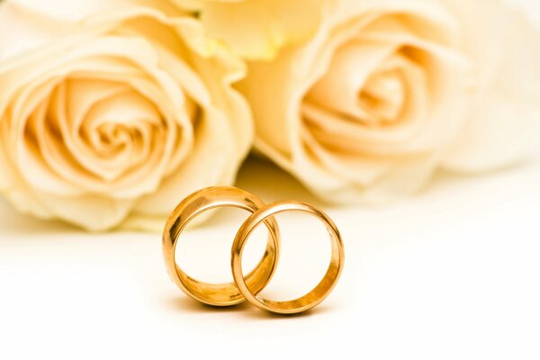 Два обручальных кольца на фоне белых роз