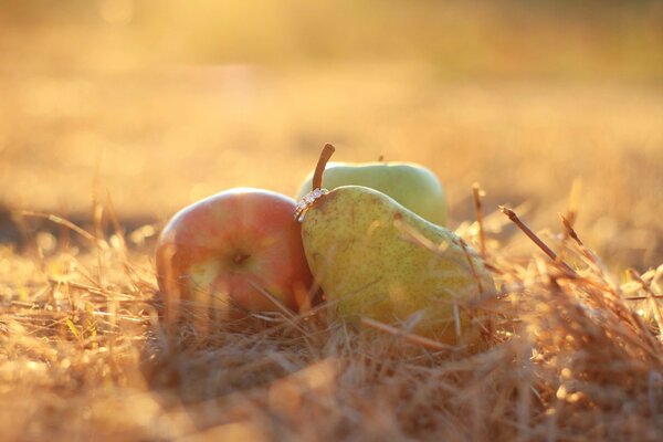 Apples and pears with a ring