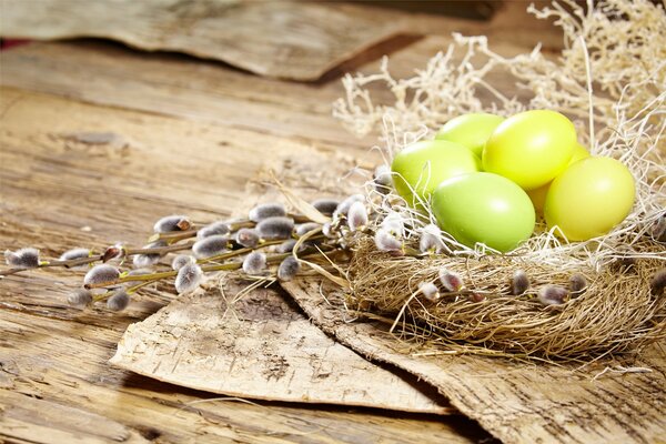 Uova gialle e verdi nel nido. Salice. Pasqua