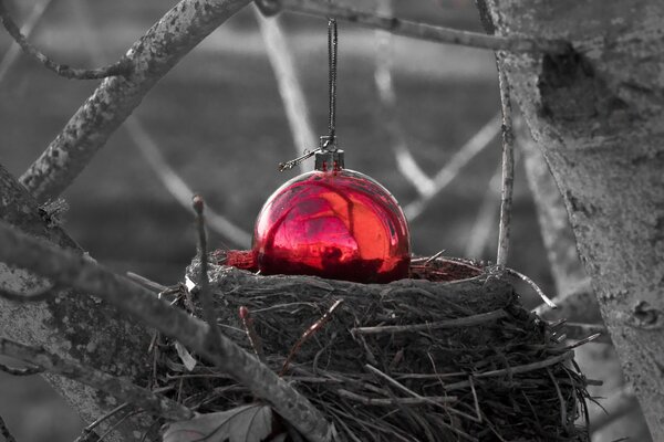 Bright red Christmas toy in the nest