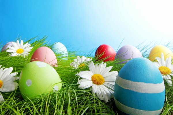 Easter eggs in the grass in a meadow with daisies