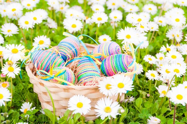 Huevos de Pascua en una canasta en un campo de margaritas