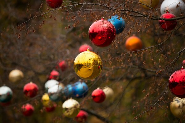 Boules de Noël sur une branche
