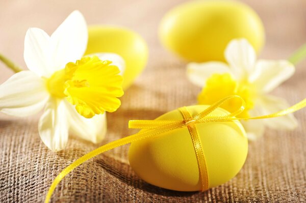 Gelbes Ei und gelbe Narzissen auf einem Tuch. Frühling. Ostern