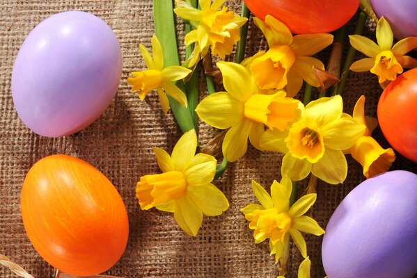Colorful eggs and daffodils on the table