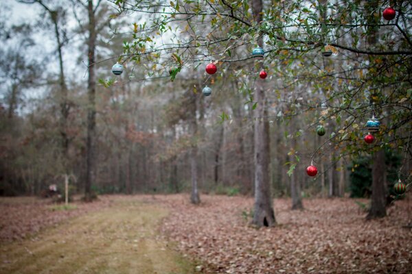 Festive decoration of the autumn forest