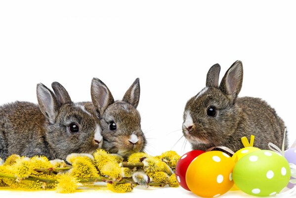 Tre coniglietti accanto a uova di Pasqua colorate