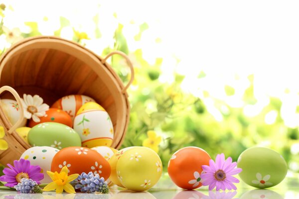 Fleurs et oeufs de Pâques dans un panier