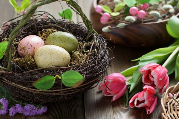 Easter eggs in a basket and pink tulips