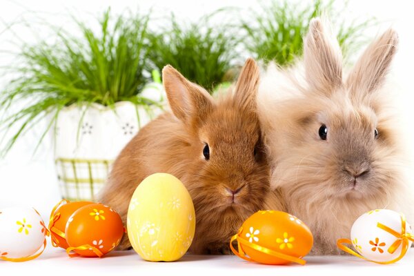 Lindos conejos y huevos de Pascua