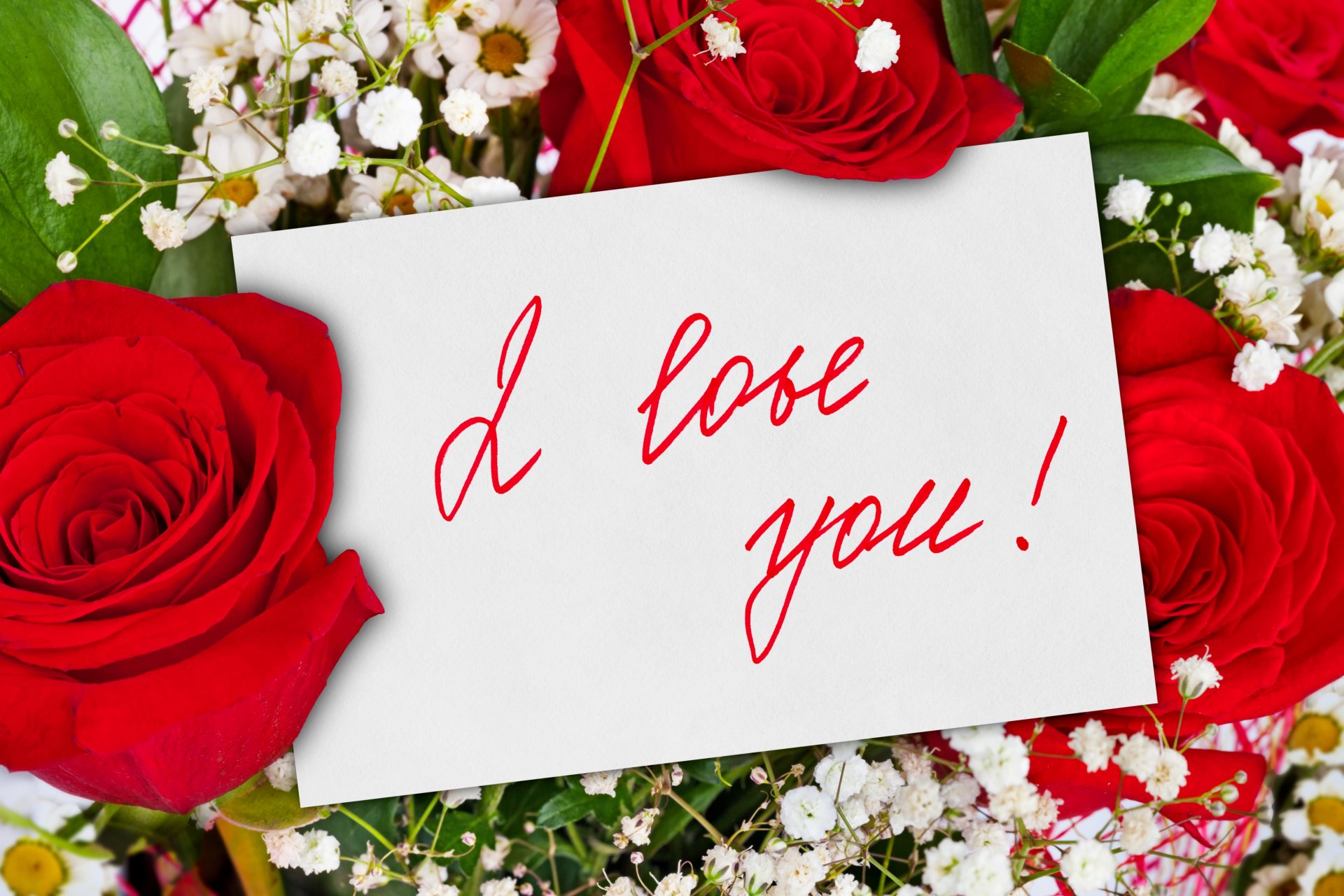 flor flores rosa rosas ramo rosas rojas fresco bonito lindo bonita belleza te amo para ti novelas románticas romántico romance