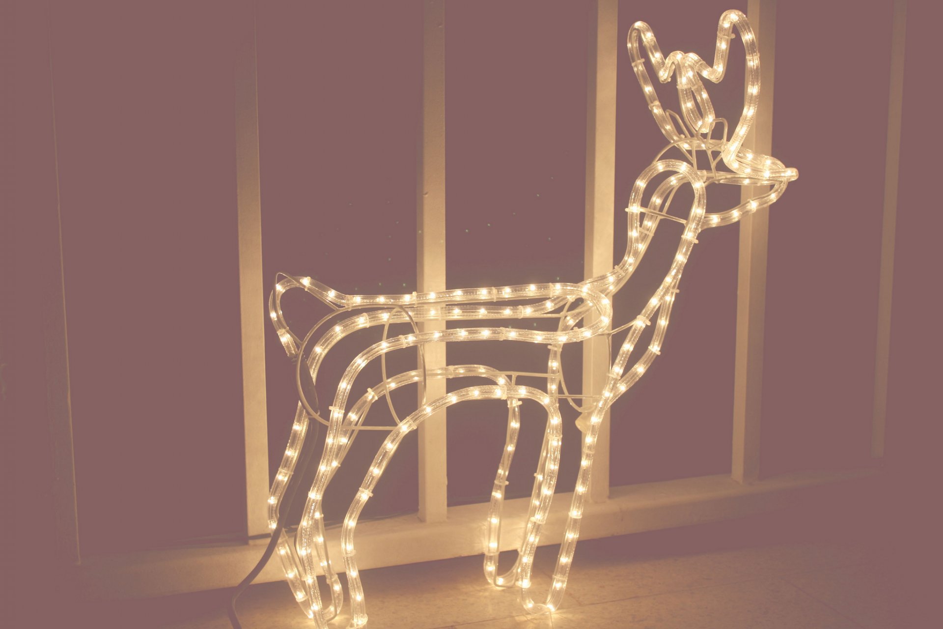 cerf lampe ampoules nouvel an noël