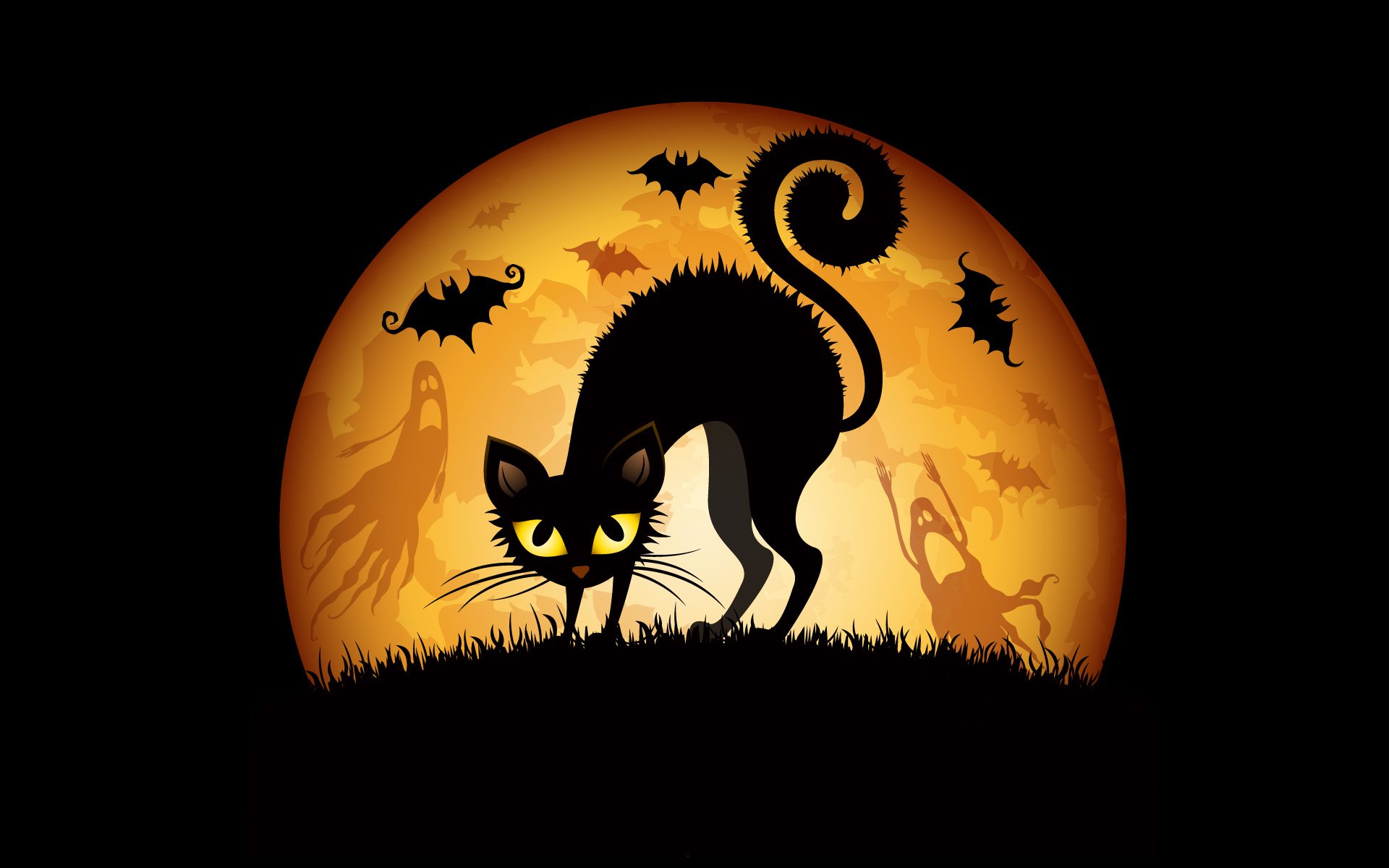 halloween kot duchy nietoperze księżyc trawa