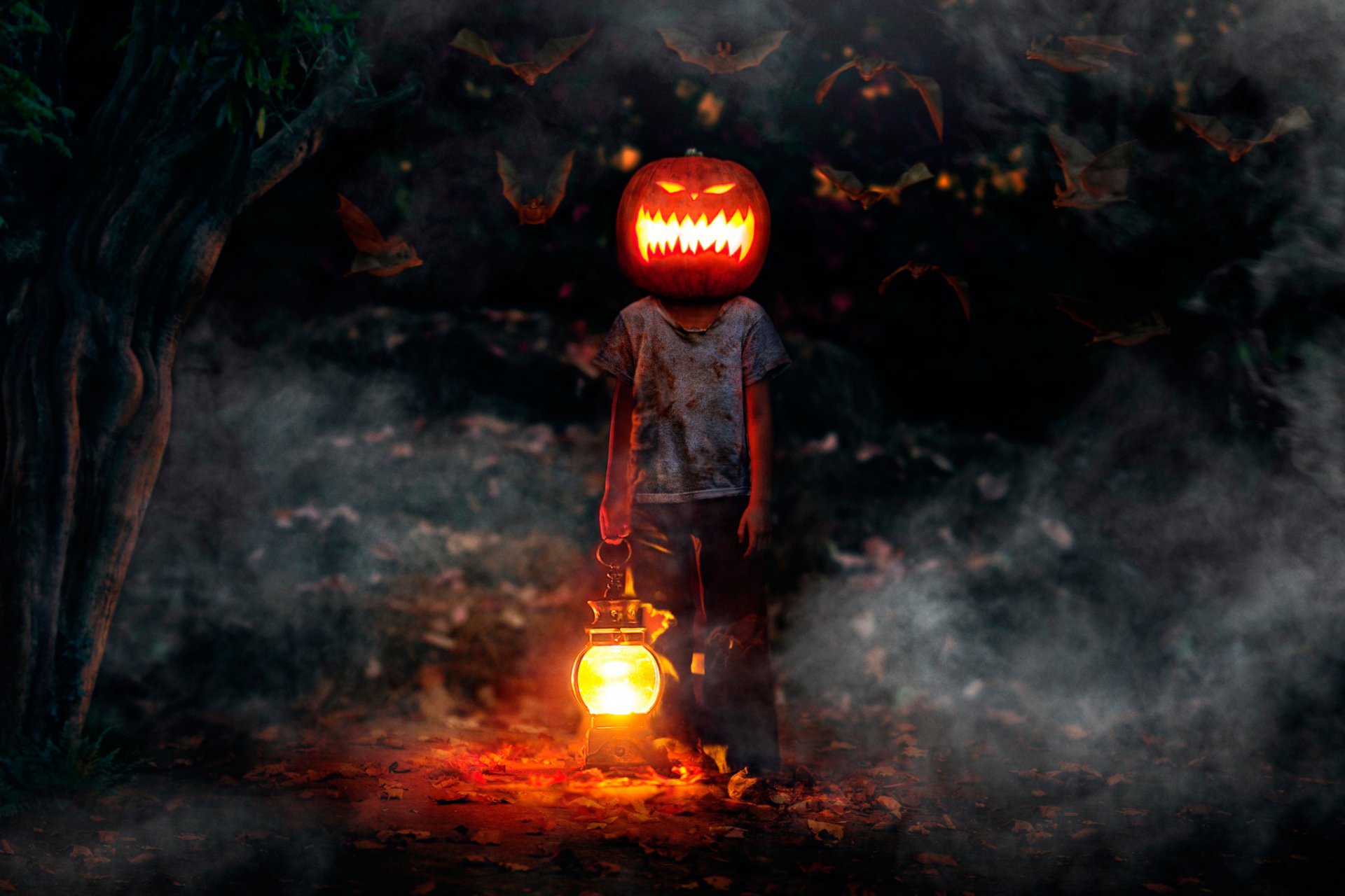 felice halloween ragazzo zucca pipistrelli orrore