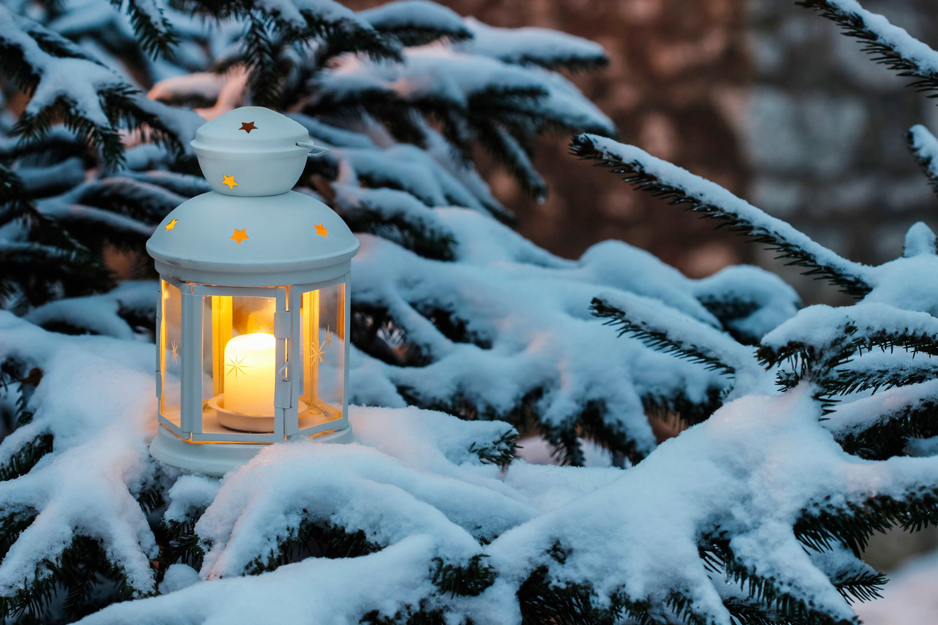 laterne kerze weihnachtsbaum zweige schnee winter urlaub neujahr weihnachten