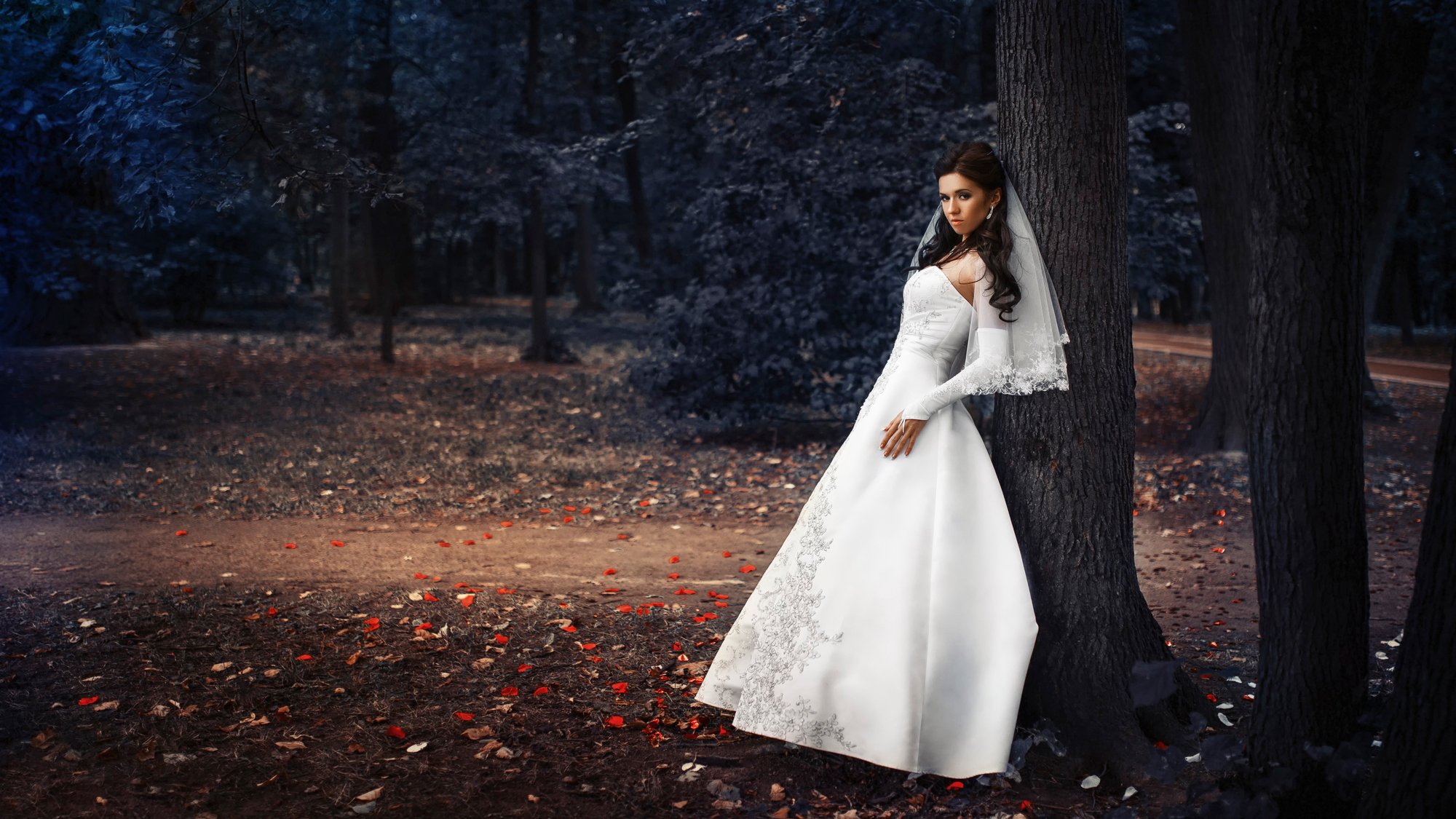 wedding bride dress style park