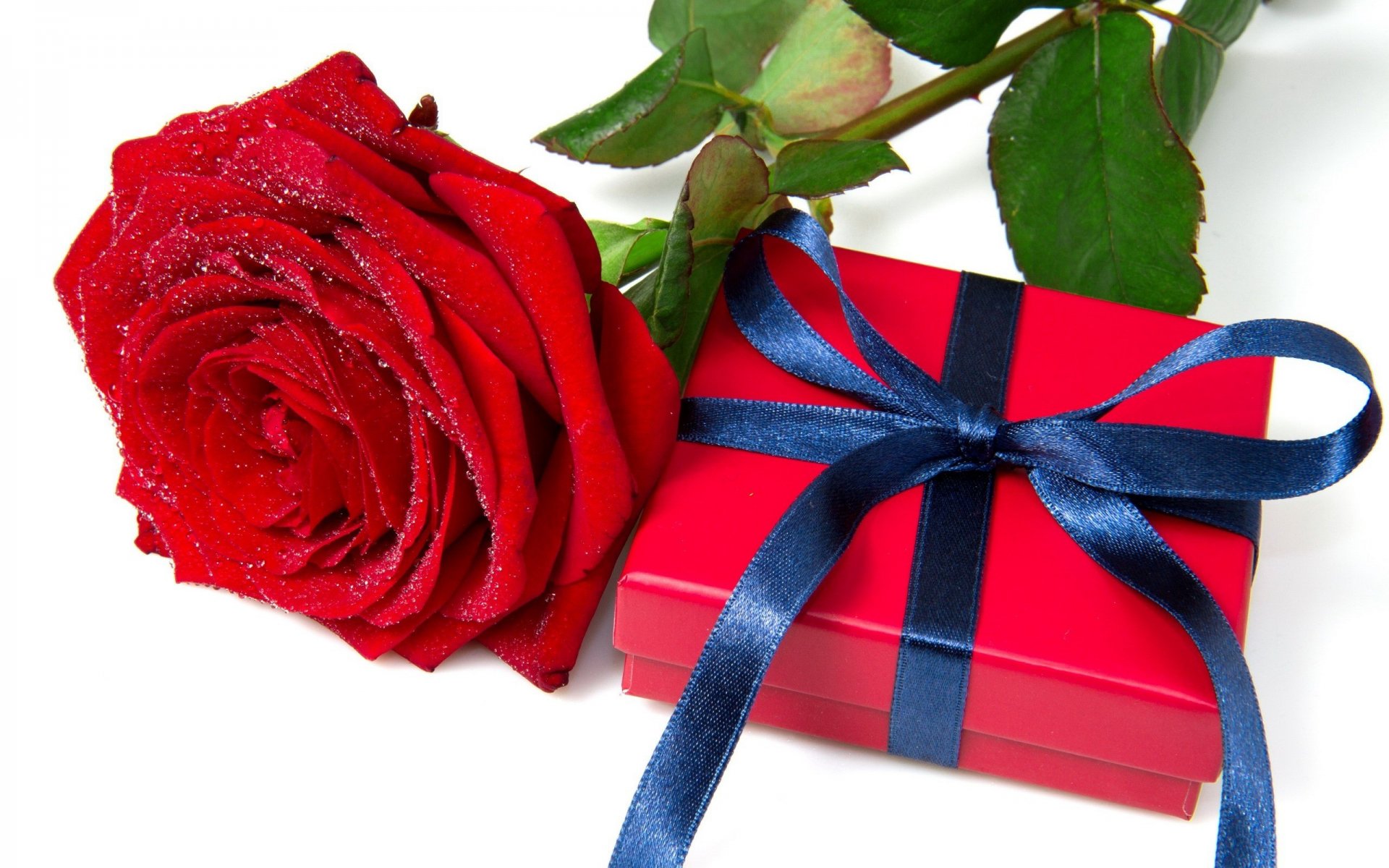 vacances nouvel an noël noël cadeau boîte ruban fleur rose rouge papier peint écran large plein écran écran large fond écran large
