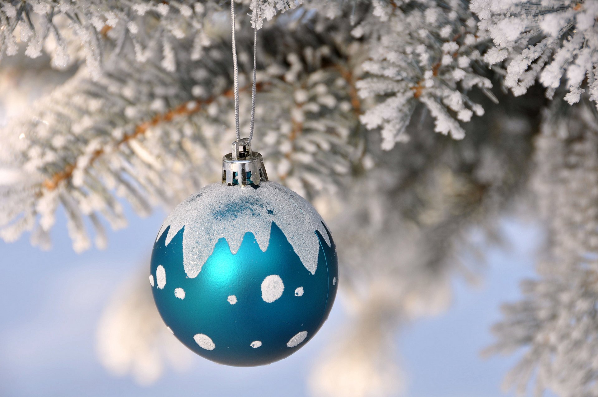 zweig weihnachtsbaum schnee kugel dekoration neujahr weihnachten