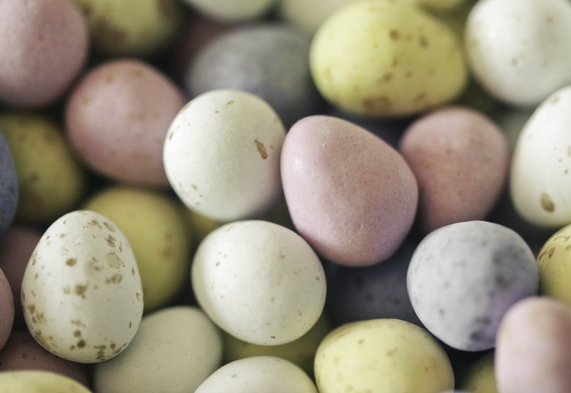 pasqua pasqua uova