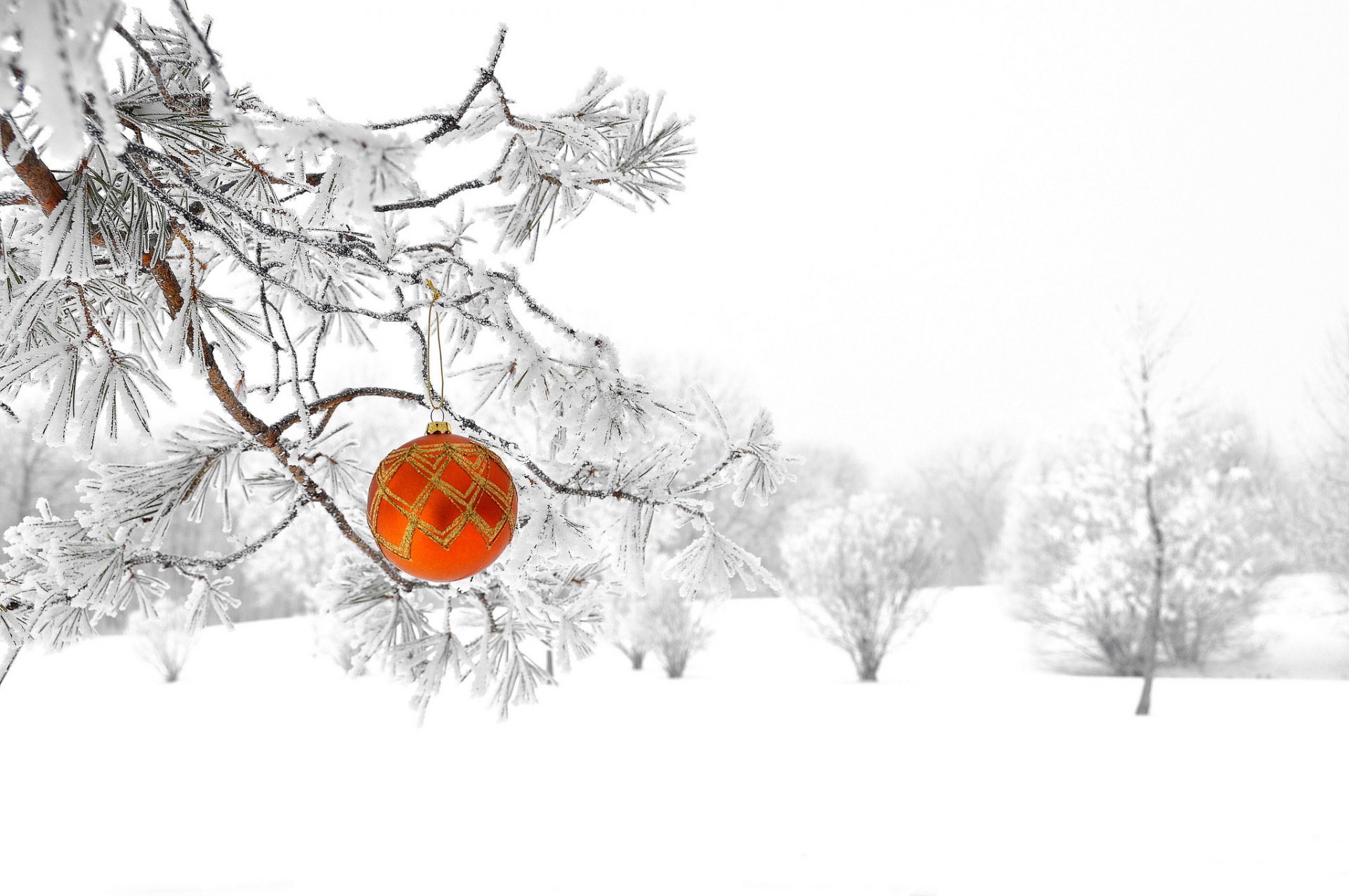 forest winter nature snow ball decoration christmas tree new year christma