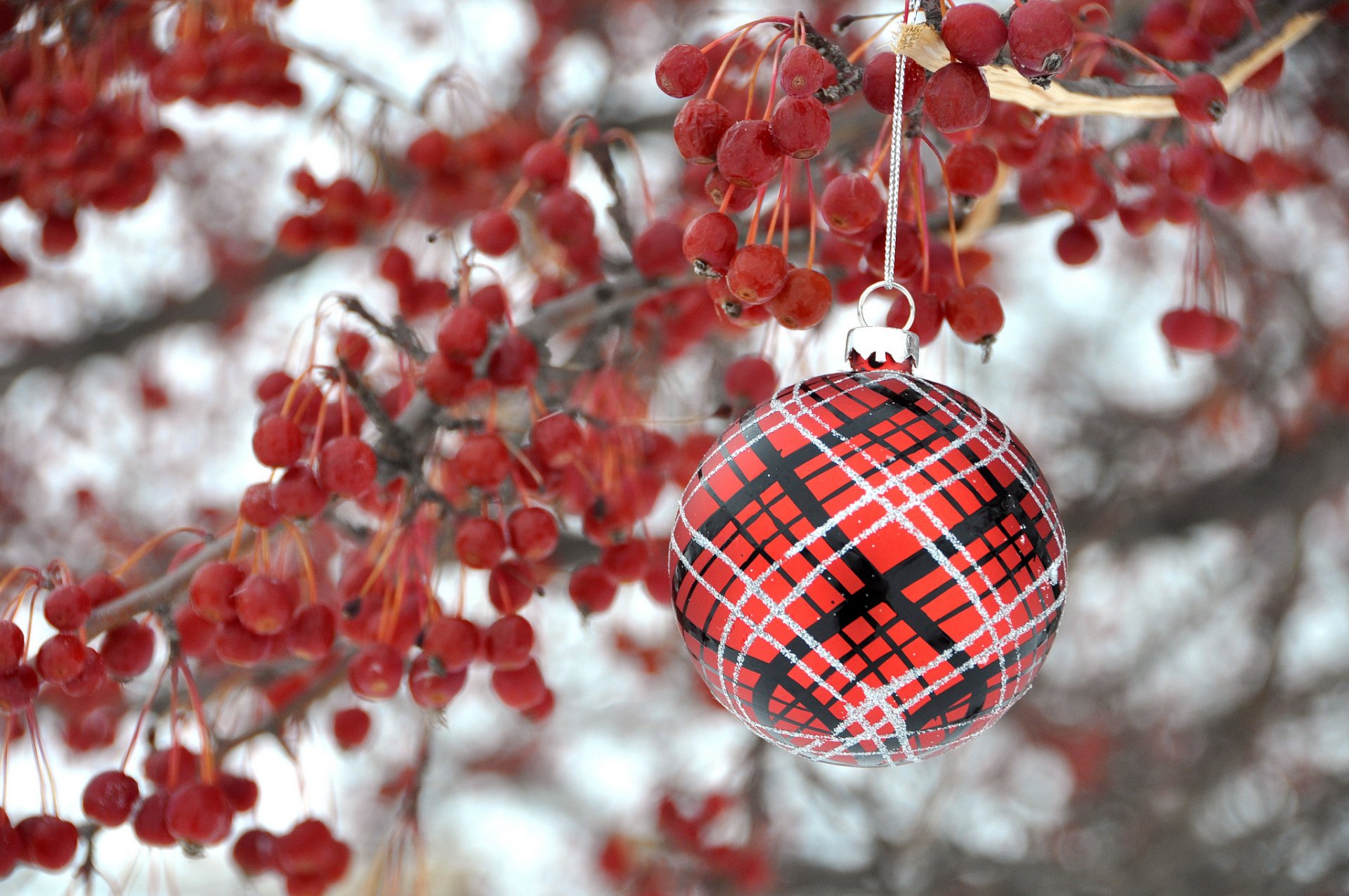 branche baies boule décoration jouet noël nouvel an