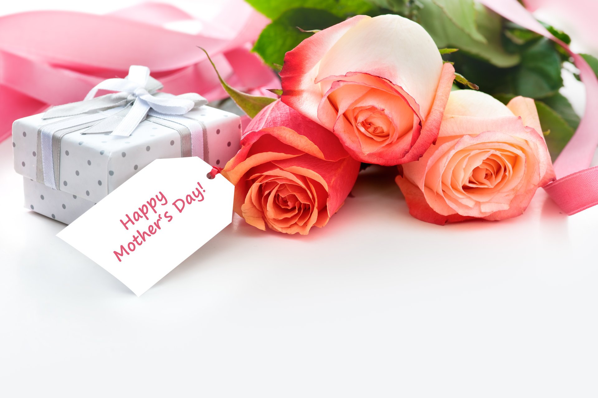 holiday flower roses box bow card